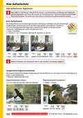 Katalog