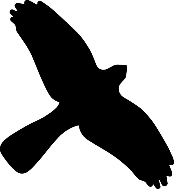Vogelschutz Aufkleber für Fenster 32012401_ef.jpg