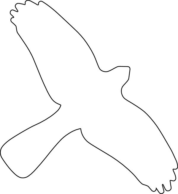 Vogelschutz Aufkleber für Fenster