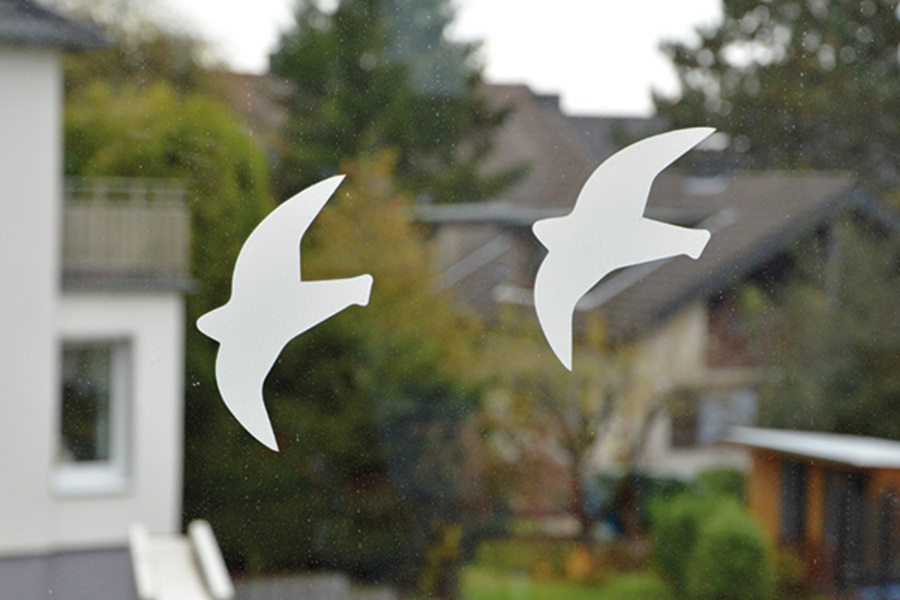 Vogelschutz Aufkleber, transparent, Set = 3 Stück Vogelschutz Aufkleber, transparent, Set = 3 Stück