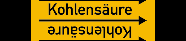 1015738501_ef.jpg