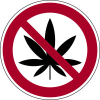 Verbotsschild, Cannabis verboten - praxisbewährt