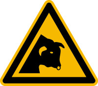 Warnschild, Warnung vor Stier W034 - ASR A1.3 (DIN EN ISO 7010)